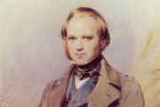 Ч. Дарвин. Ч. Дарвин.