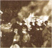 Сожжение запрещённых книг Май 1933 г. Сожжение запрещённых книг Май 1933 г.