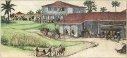 Фабрика по производству сахара в Бразилии. Изображение XVII в. Фабрика по производству сахара в Бразилии. Изображение XVII в.