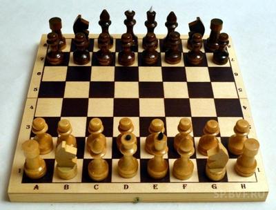 В 1984 году открылся поединок за мировую шахматную корону между Анатолием Карповым и Гарри Каспаровым