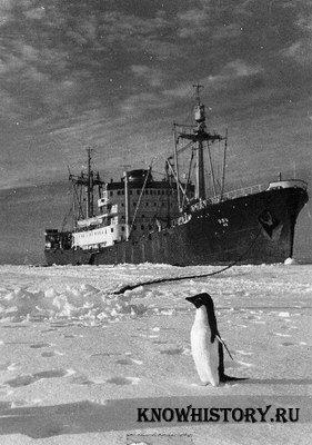 Первая советская научная станция в Антарктиде «Мирный»