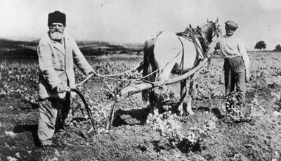 В 1916 году Особое совещание по продовольствию издало постановление о проведении 1-й Всероссийской сельскохозяйственной переписи