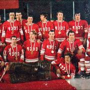 В 1981 году сборная СССР по хоккею впервые в истории выиграла Кубок Канады