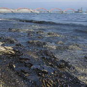 Загрязнение Мирового океана