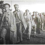 28 ноября в 1920 году опубликовали список расстрелянных военнослужащих, служивших в армии Врангеля